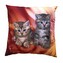 Dadka Fotopolštářek Koťata v ohni 40x40 cm