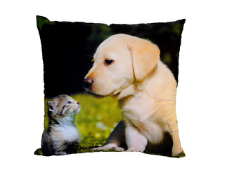 Dadka Fotopolštářek Kotě a štěně na trávě 40x40 cm