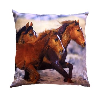 Dadka Fotopolštářek Tři koně 40x40 cm