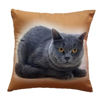 Dadka Fotopolštářek Kočka 40x40 cm