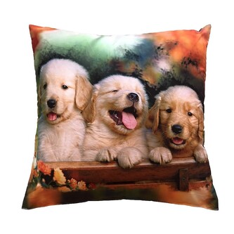 Dadka Fotopolštářek Tři štěňata 40x40 cm