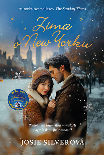 Zima v New Yorku Zima v New Yorku