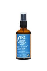 Tierra Verde Osvěžovač vzduchu (100 ml) - Sladký vánek - mátové osvěžení