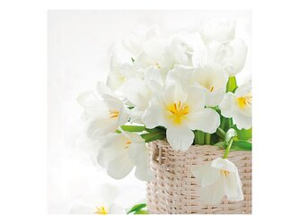 ubrousek P 33x33 celorok MES200749 2010994