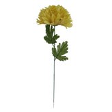 Chryzantéma velká, nová  K153/K023/ AUT GREEN