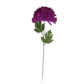 Chryzantéma velká, nová  K153/K023/ NEW PURPLE