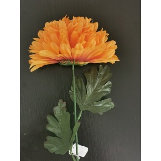 Chryzantéma velká  K153/K023/ new brown