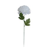 Chryzantéma velká, nová  K153/K023/ WHITE