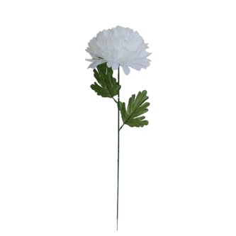 Chryzantéma velká, nová  K153/K023/ WHITE