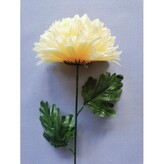 Chryzantéma velká  K153/K023/ LEMON