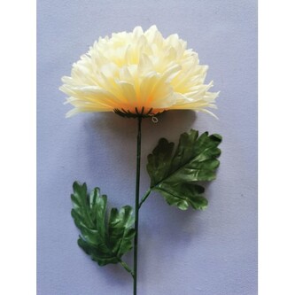 Chryzantéma velká  K153/K023/ LEMON