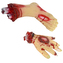 Halloweenská odříznutá ruka a noha