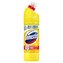 Domestos WC gel s vůní citrusů 750ml