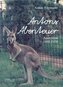 Antons Abenteuer