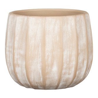 Obal 784 Washed cream 17