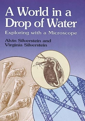 Silverstein's World in a Drop