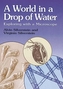 Silverstein's World in a Drop