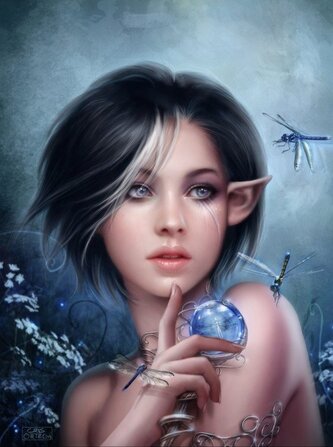 GRAFIKA Puzzle Prokletí vážky 2000 dílků