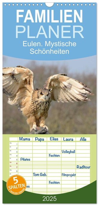 Familienplaner 2025 - Eulen. Mystische Schönheiten mit 5 Spalten (Wandkalender, 21 x 45 cm) CALVENDO