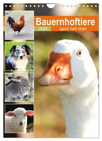 Bauernhoftiere, ganz nah dran (Wandkalender 2025 DIN A4 hoch), CALVENDO Monatskalender