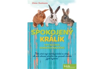 Spokojený králík- Tipy na chov domácích mazlíčků