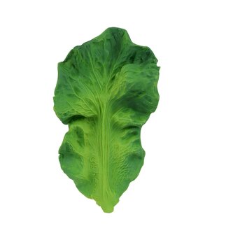 HRYZÁTKO ŠALÁT KENDALL