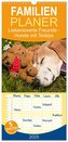Familienplaner 2025 - Liebenswerte Freunde - Hunde mit Teddys mit 5 Spalten (Wandkalender, 21 x 45 cm) CALVENDO