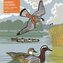 Adult Jigsaw Puzzle Robert Gillmor: Ducks, Falcons and Lapwings
