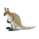 Klokan (Wallaby)
