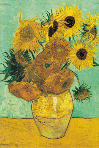 Plakát, Obraz - Sunflowers, 61 × 91.5 cm