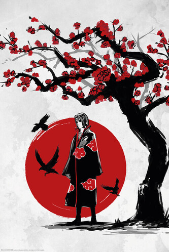 Plakát, Obraz - Ninja under the Sun, 61 × 91.5 cm