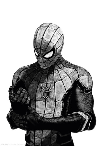 Plakát, Obraz - Spider-man, 61 × 91.5 cm