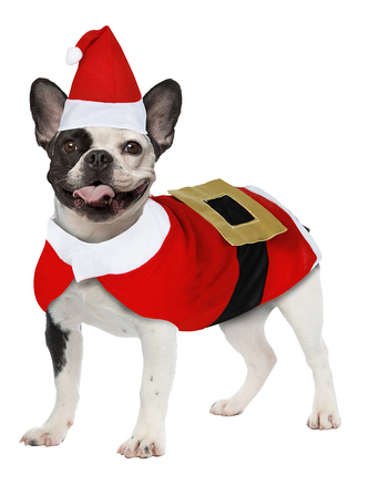 Santa Klaus kostým pro psy S malý pes