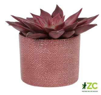 Obal 416 Merlot Lasur 17 cm