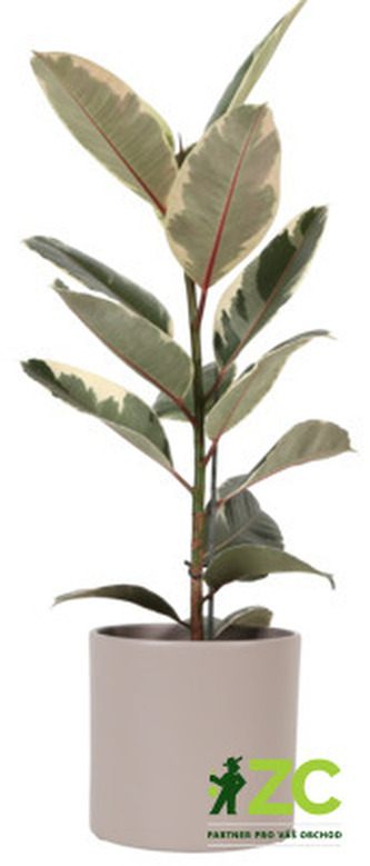 Obal 411 Stone Grey 23 cm