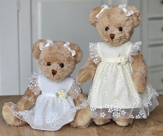 Pár plyšových medvědů v šatech
