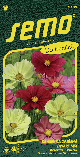 Krásenka zpeřená - Dwarf mix 40s Krásenka zpeřená - Dwarf mix 40s