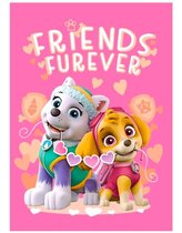 FLÍSOVÁ DEKA TLAPKOVÁ PATROLA