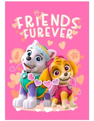 FLÍSOVÁ DEKA TLAPKOVÁ PATROLA