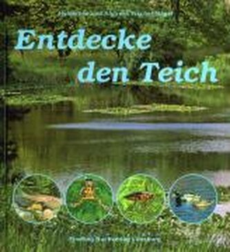 Entdecke den Teich