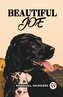 Beautiful Joe