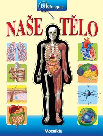 Jak funguje naše tělo?