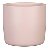 Obal 900 Powder Rose 13 /JARO 2025/