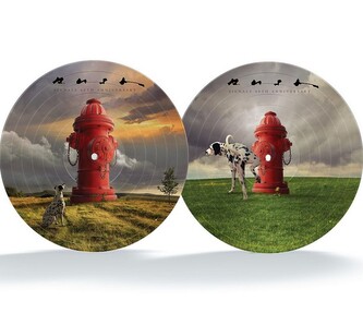 Signals / 40th Anniversary (Picture Vinyl) - LP