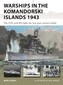 New Vanguard 333 Warships in the Komandorski Islands 1943