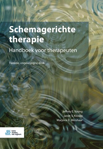 Schemagerichte therapie
