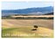 Licht und Landschaft - magisch! (Wandkalender 2025 DIN A3 quer), CALVENDO Monatskalender