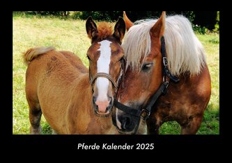 Pferde Kalender 2025 Fotokalender DIN A3