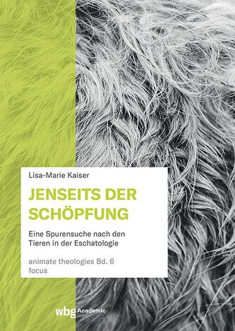 Jenseits der Schöpfung