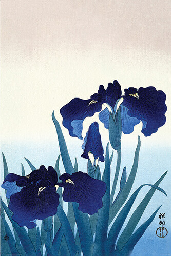 Plakát, Obraz - Ohara Koson - Iris Flowers, 61 × 91.5 cm